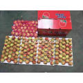 Shannxi Rode Gala-appels